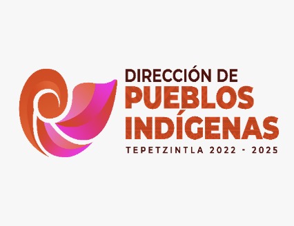 Dirección de Pueblos Indígenas de Tepetzintla, Veracruz