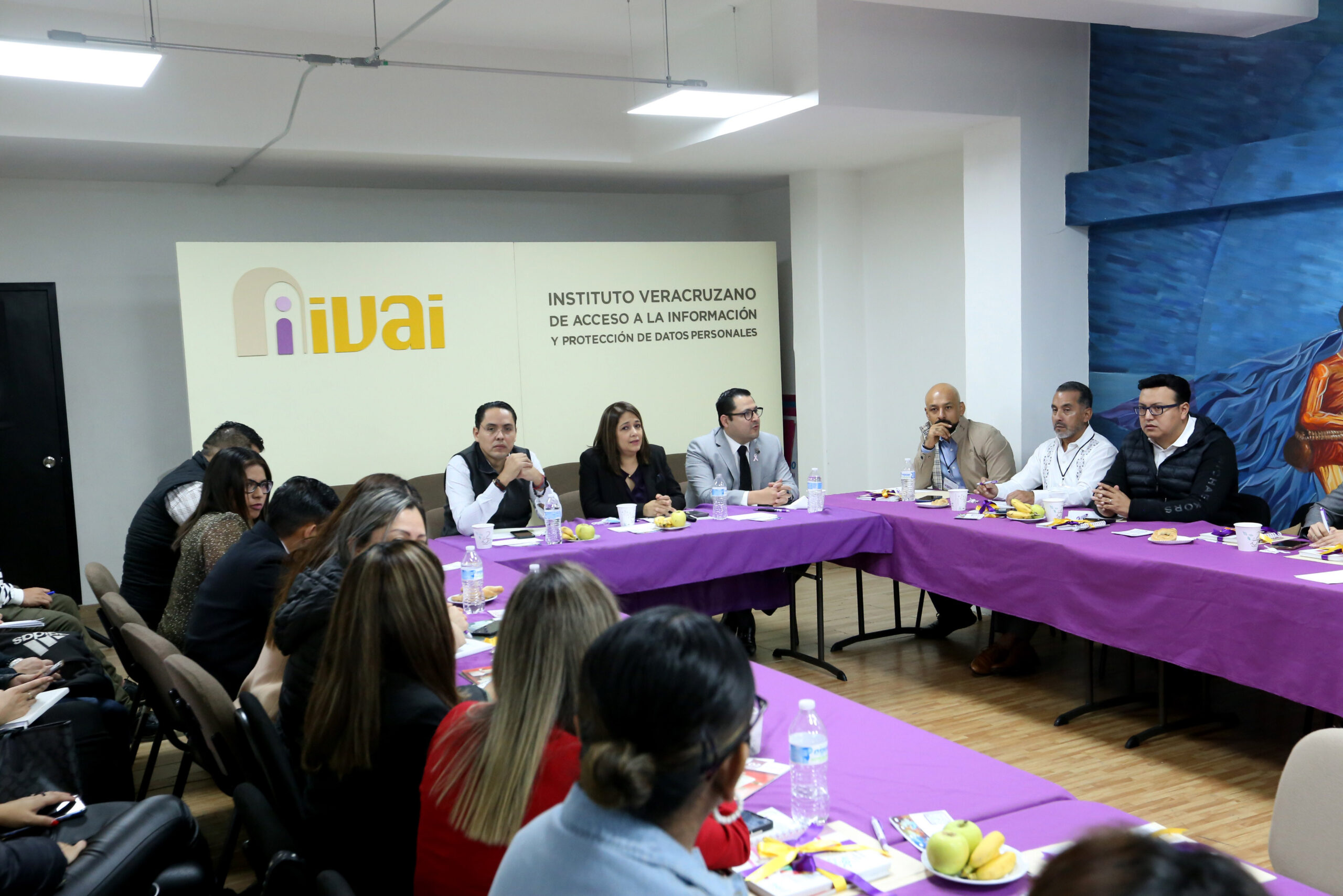 IVAI otorgará herramientas tecnologías a sujetos obligados de Veracruz