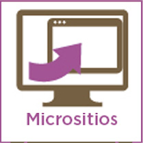 Micrositios